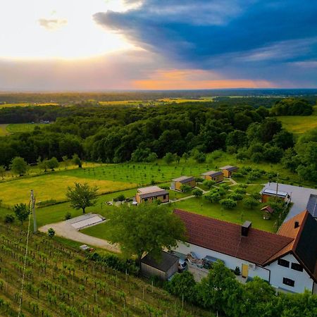 Вілла Vinea Panonika Wine & Mind Retreat Раденці Екстер'єр фото