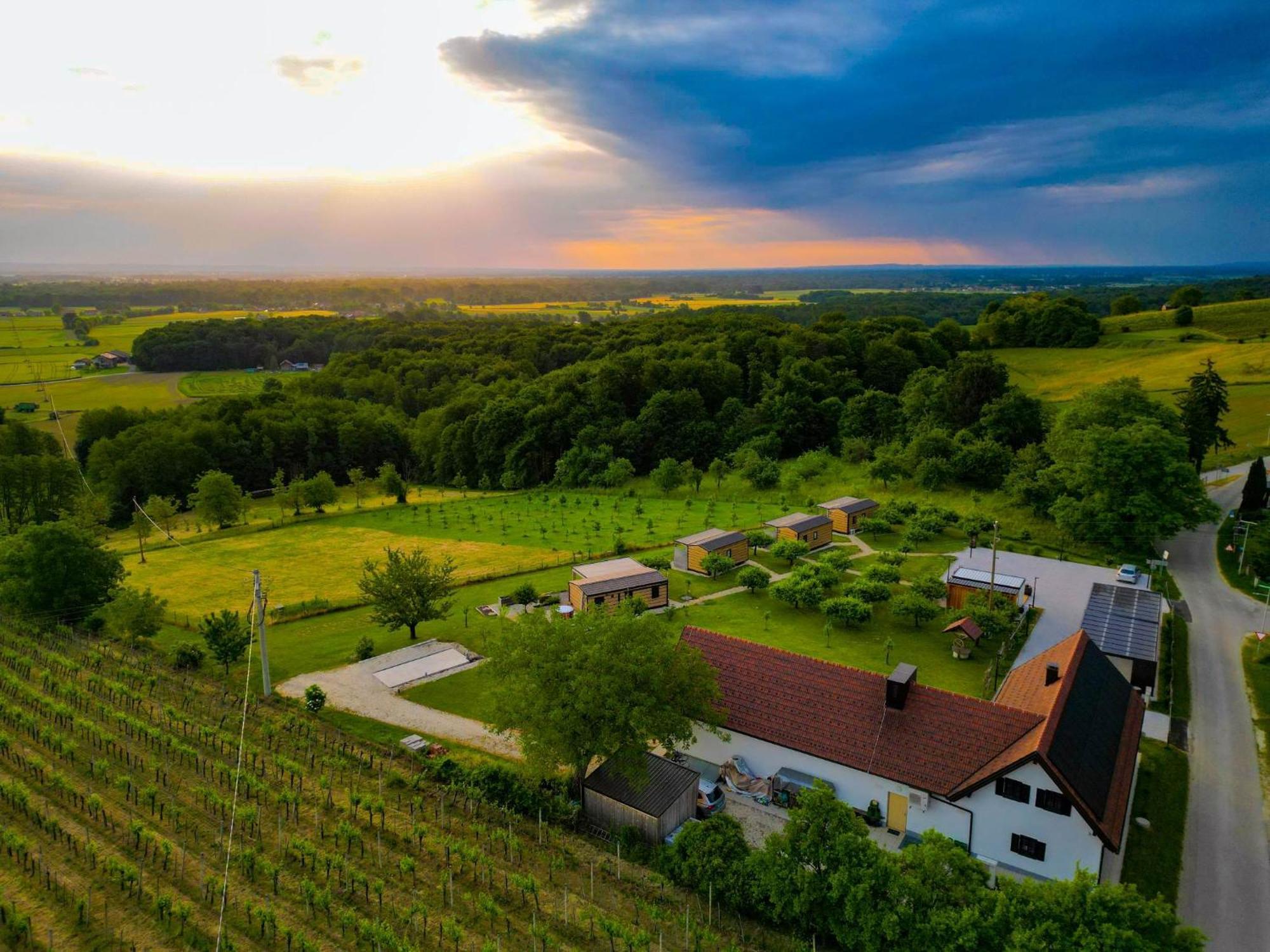 Вілла Vinea Panonika Wine & Mind Retreat Раденці Екстер'єр фото